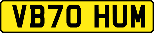 VB70HUM