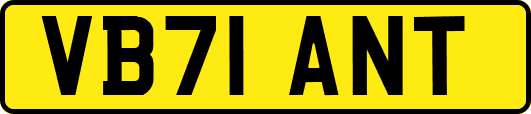 VB71ANT