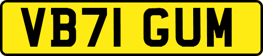 VB71GUM