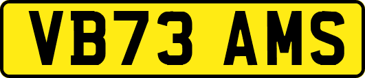 VB73AMS