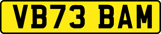 VB73BAM