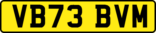 VB73BVM