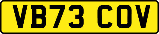 VB73COV