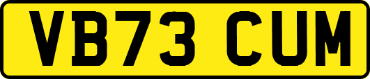 VB73CUM