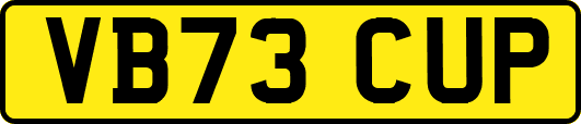 VB73CUP
