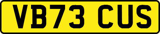 VB73CUS