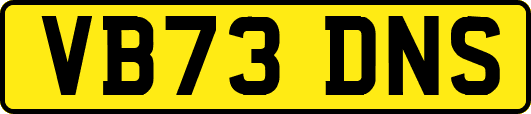 VB73DNS