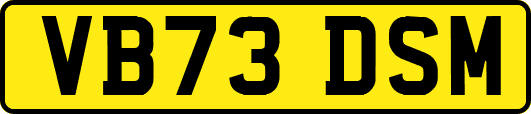 VB73DSM