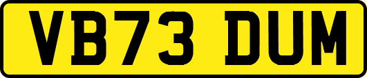 VB73DUM