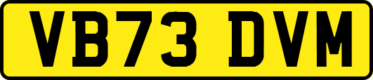 VB73DVM