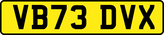 VB73DVX