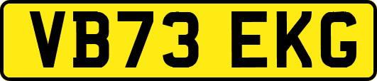 VB73EKG