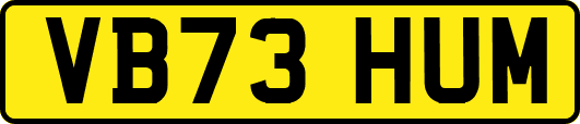 VB73HUM