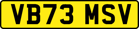 VB73MSV