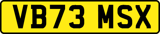 VB73MSX