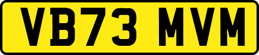 VB73MVM