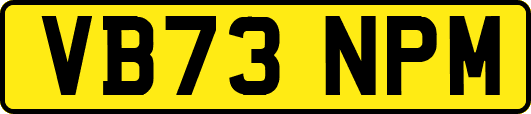 VB73NPM