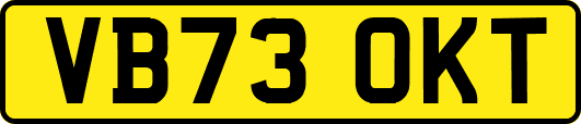 VB73OKT