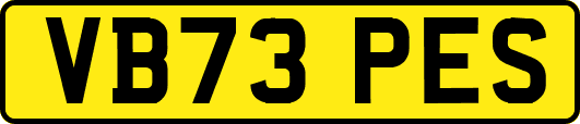 VB73PES