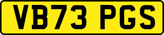 VB73PGS