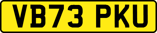 VB73PKU