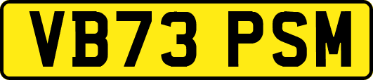 VB73PSM