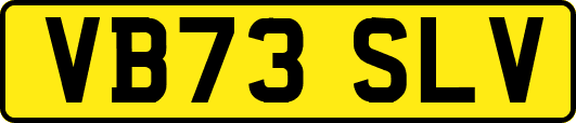 VB73SLV