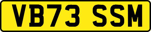 VB73SSM