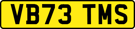 VB73TMS