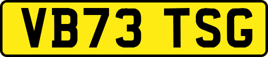 VB73TSG