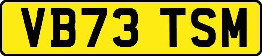 VB73TSM