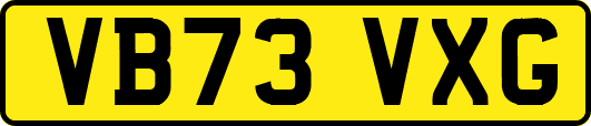 VB73VXG