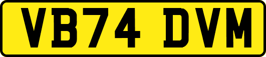 VB74DVM