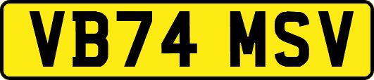 VB74MSV