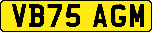 VB75AGM