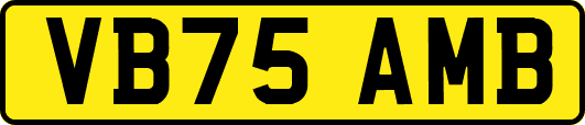 VB75AMB