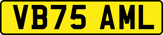 VB75AML