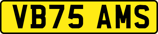 VB75AMS