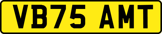 VB75AMT
