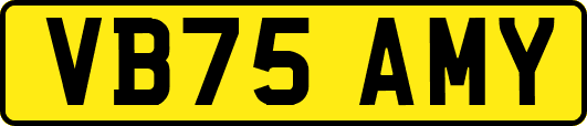VB75AMY