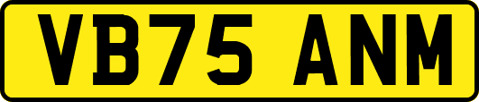 VB75ANM