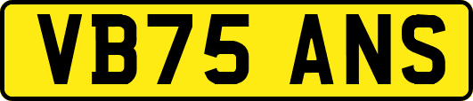 VB75ANS
