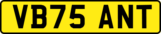 VB75ANT