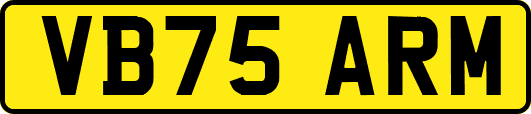 VB75ARM