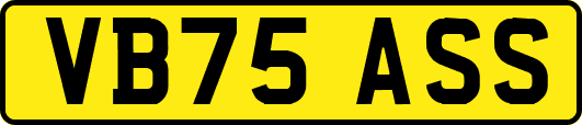 VB75ASS