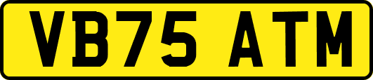 VB75ATM