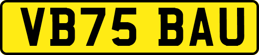 VB75BAU