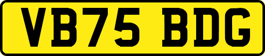VB75BDG