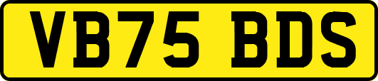 VB75BDS