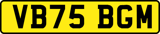 VB75BGM